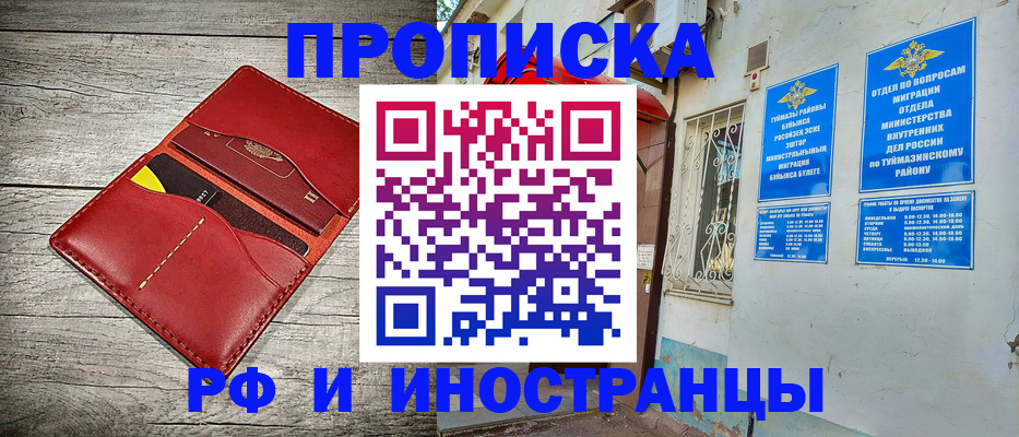 временная регистрация поиск в Апатитах